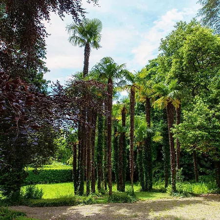 Apartamento L'orangerie Di Mayer - Myhomeincomo Tremezzo